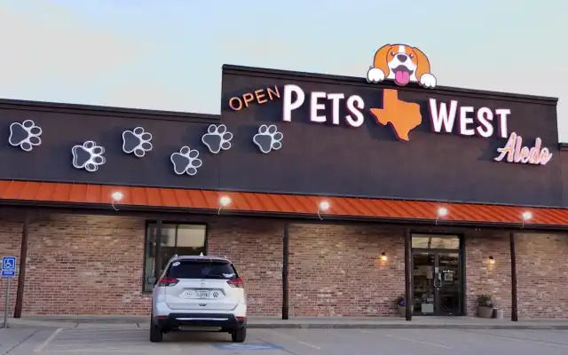 Illuminated channel letter signs providing visibility for a nearby business