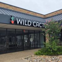 Channel Letter Sign Wild Cactus, Pantego, TX